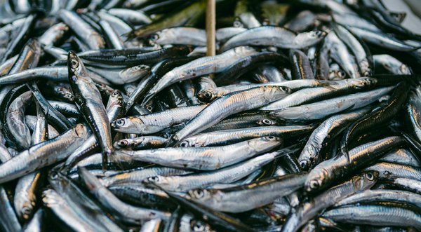 Essential Vitamins for Promoting Eye Health as You Age: What You Need to Know